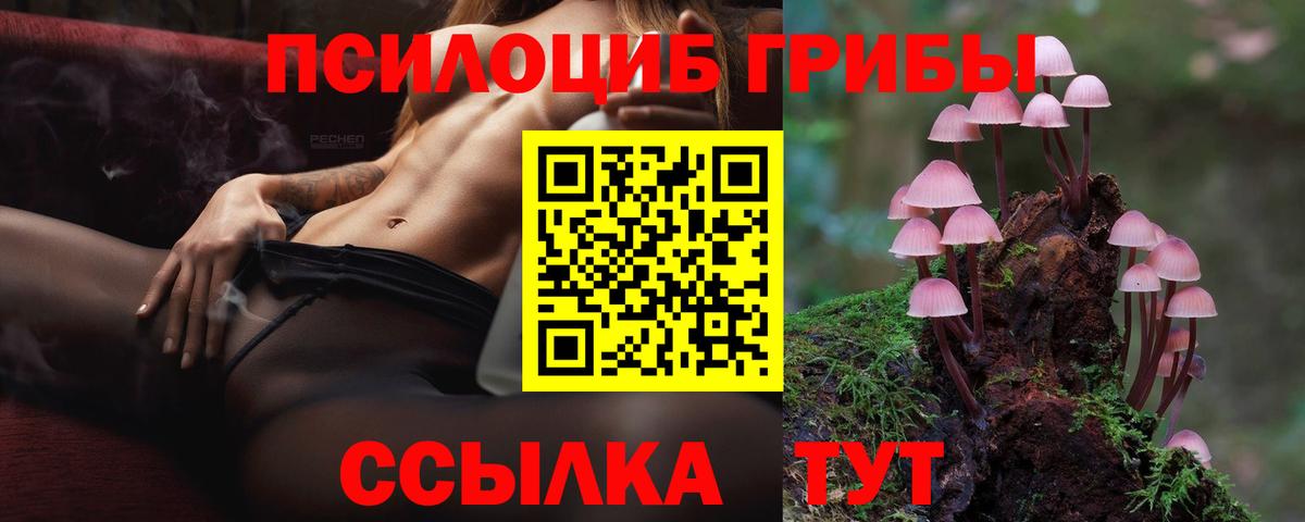 Псилоцибиновые грибы Psilocybine cubensis  Псилоцибиновые грибы MAGIC MUSHROOMS  Туймазы  продажа наркотиков  Вход с VPN 